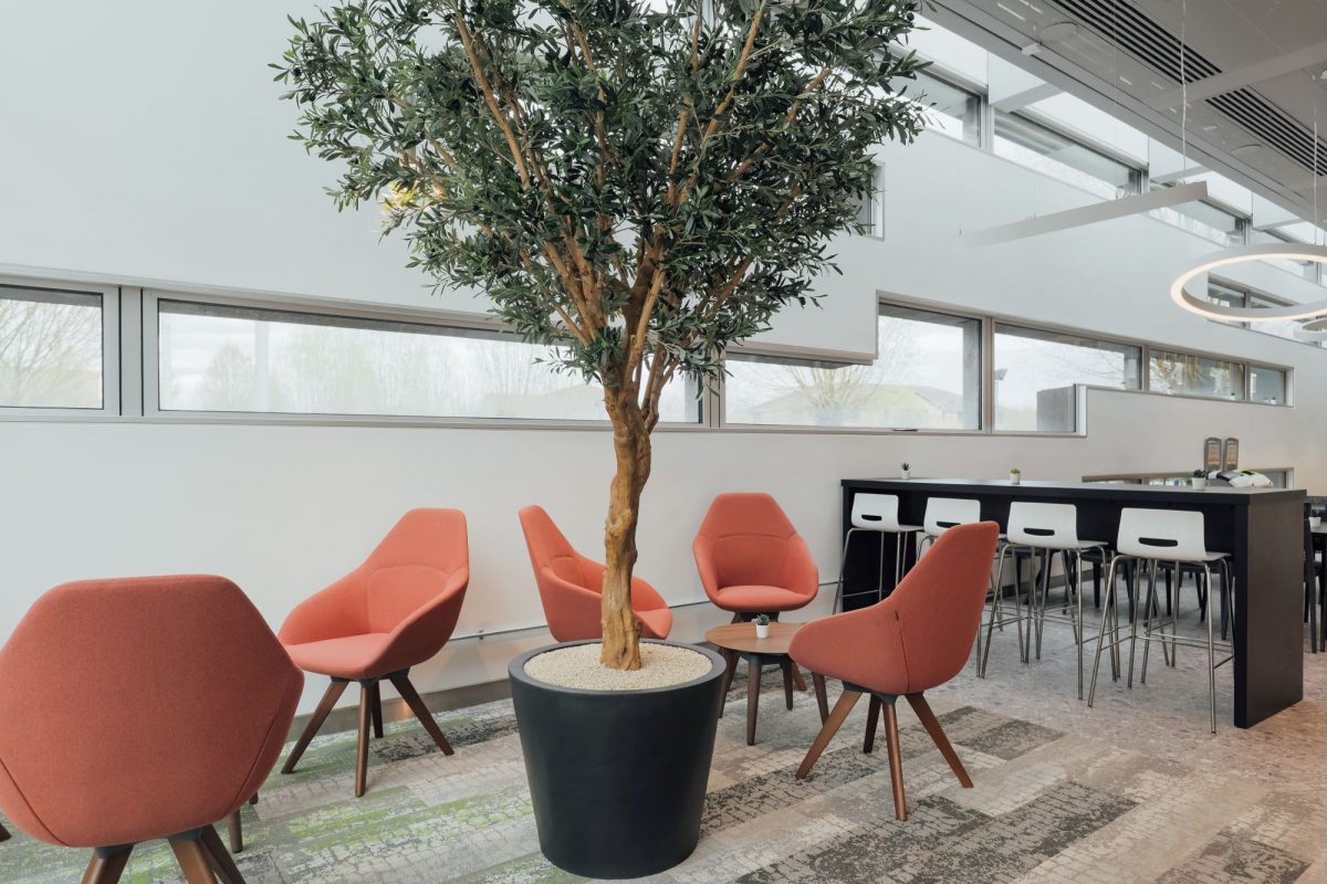 Experian canteen refurbishment